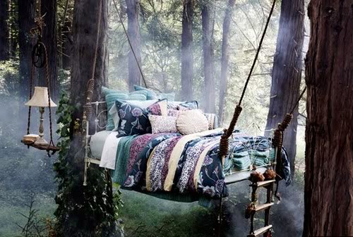 sleep in the forest